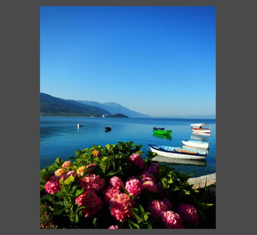 Villa Lucija Ohrid Exterior foto